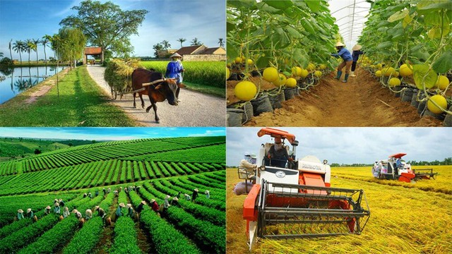 Triển khai thực hiện Đề án “Hội Nông dân Việt Nam tham gia phát triển kinh tế tập thể trong nông nghiệp đến năm 2030” của Thủ tướng Chính phủ trên địa bàn tỉnh Khánh Hòa